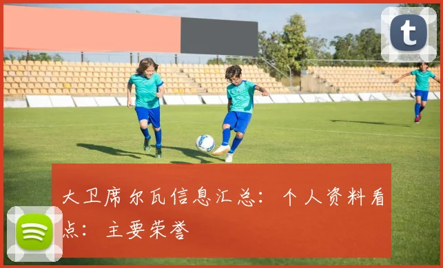 大卫席尔瓦信息汇总:个人资料看点:主要荣誉
