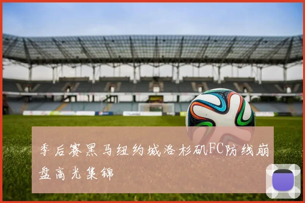 季后赛黑马纽约城洛杉矶FC防线崩盘高光集锦