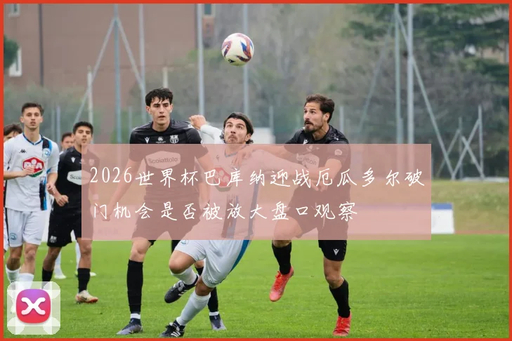 2026世界杯巴库纳迎战厄瓜多尔破门机会是否被放大盘口观察