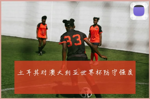 土耳其对澳大利亚世界杯防守强度