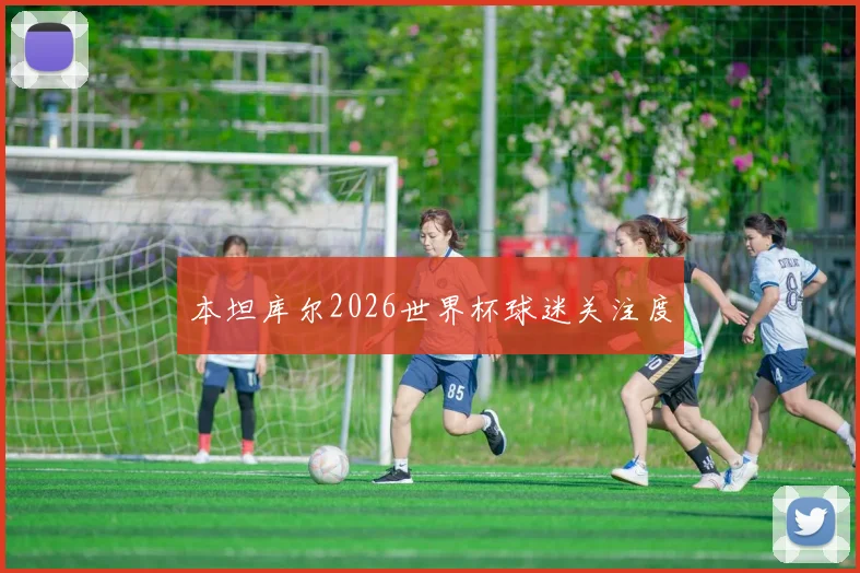 本坦库尔2026世界杯球迷关注度